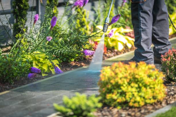 Best Spring Cleaning  in Baldwin, FL