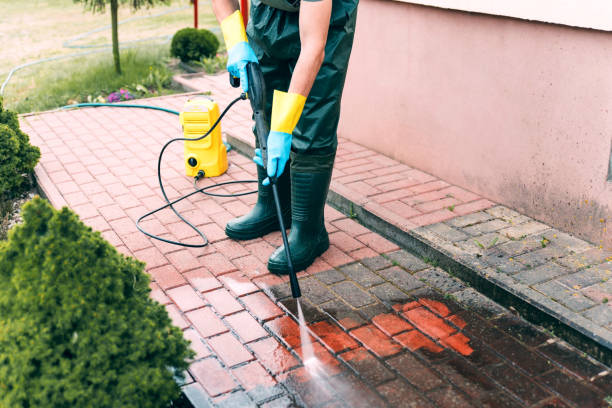 Best Solar Panel Cleaning  in Baldwin, FL